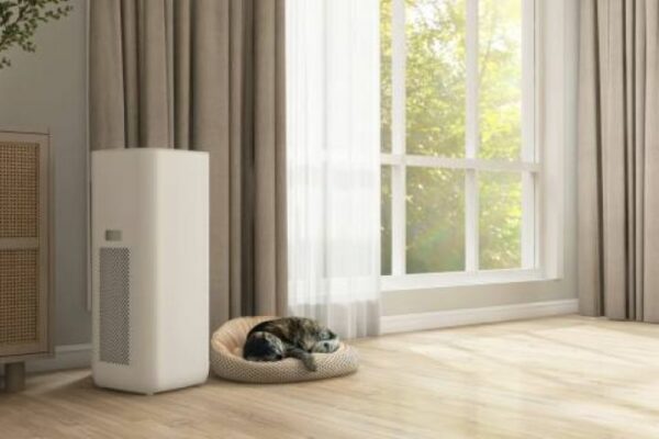 Laminaatvloeren die perfect bij jouw levensstijl passen